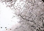 축제정보 썸네일