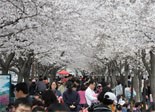 축제정보 썸네일