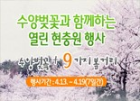 축제정보 썸네일