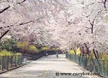 축제정보 썸네일