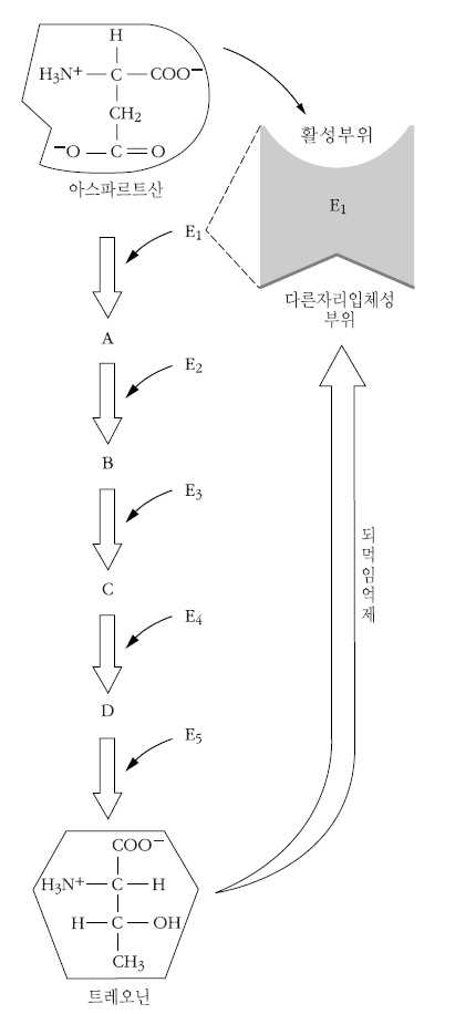 되먹임제어 (되먹임억제의 예)