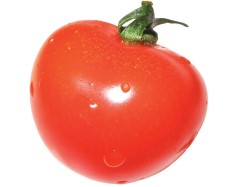 토마토 대표 이미지
