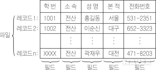 파일, 레코드, 필드의 관계