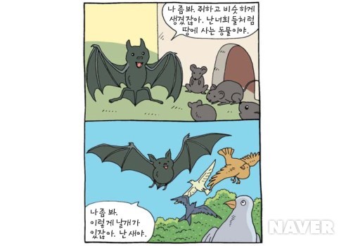 분류와 분석 본문 이미지 4
