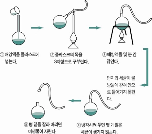 파스퇴르의 실험