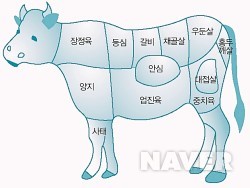 쇠고기의 부위별 명칭