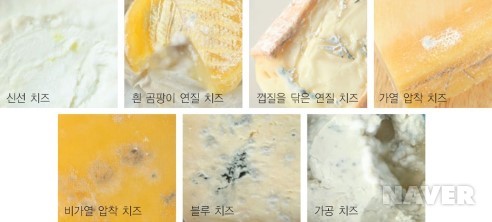 치즈를 보관하는 방법 본문 이미지 1