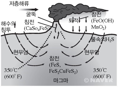 열수공 주변에 서식하는 생물들과 해수 순환