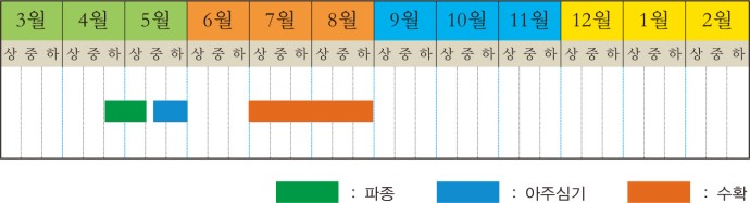 참외 본문 이미지 1