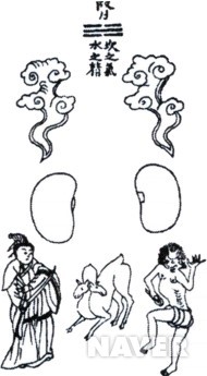 신장도