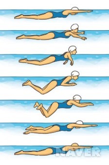 평영(breaststroke)