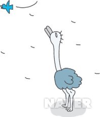참고 이미지