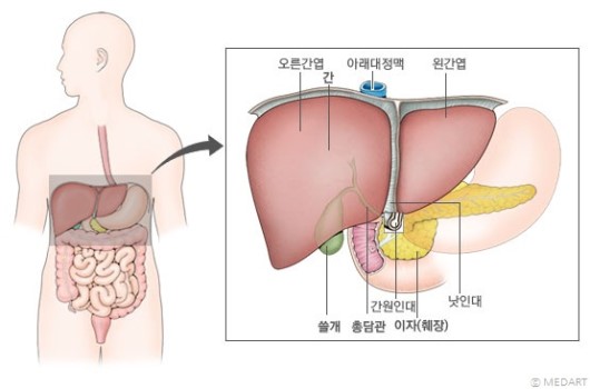 간의 위치