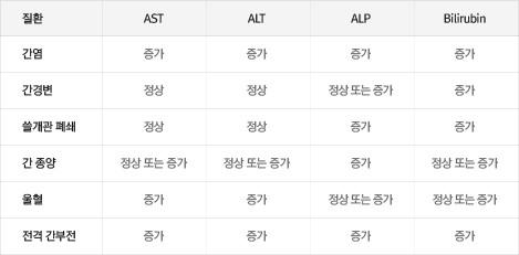 간 기능 검사에서 이상을 보이는 전형적인 양상