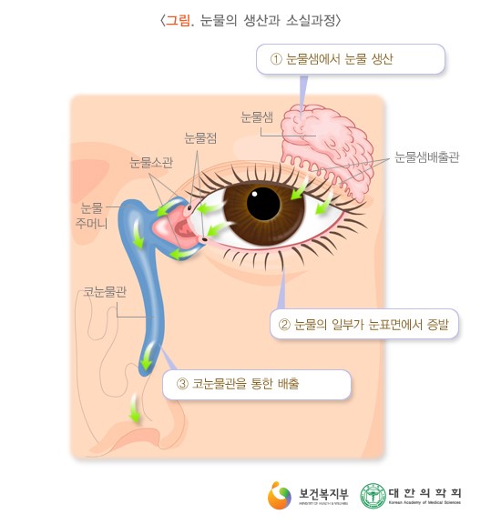 눈물막의 구성