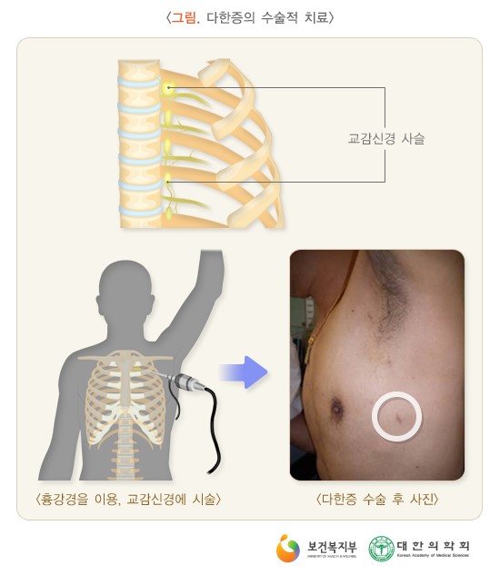 다한 이미지