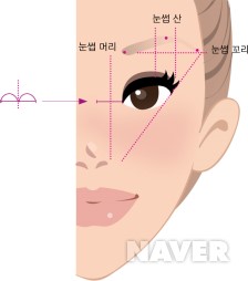 얼굴의 인상은 눈썹에서 결정된다 본문 이미지 1