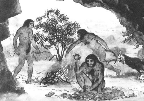 베이징 원인의 생활상(상상도).
