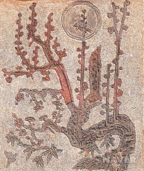 자경전의 꽃담장