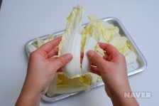 배추겉절이 요리과정