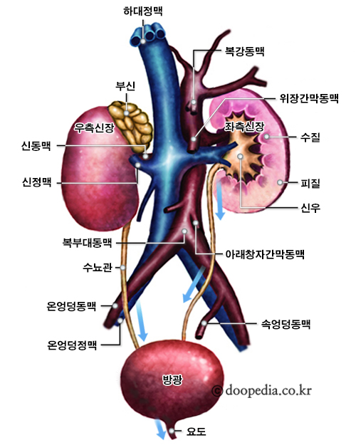 신우 본문 이미지 2