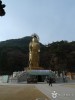충북 법주사 관련 이미지 3