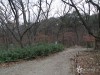 충북 법주사 관련 이미지 9