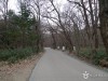 충북 법주사 관련 이미지 10