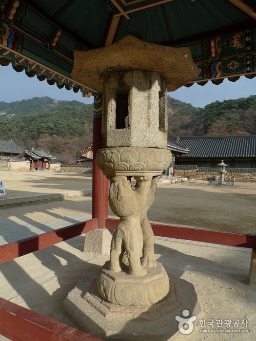 충북 법주사 관련 이미지 1