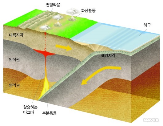 해양지각과 대륙지각이 만나는 수렴(소멸)경계를 보여 주는 개념도