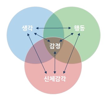 생각,감정,행동,신체감각의 상호작용
