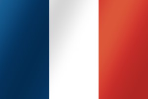 프랑스 - 프랑스 국기