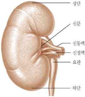 (a) 전면