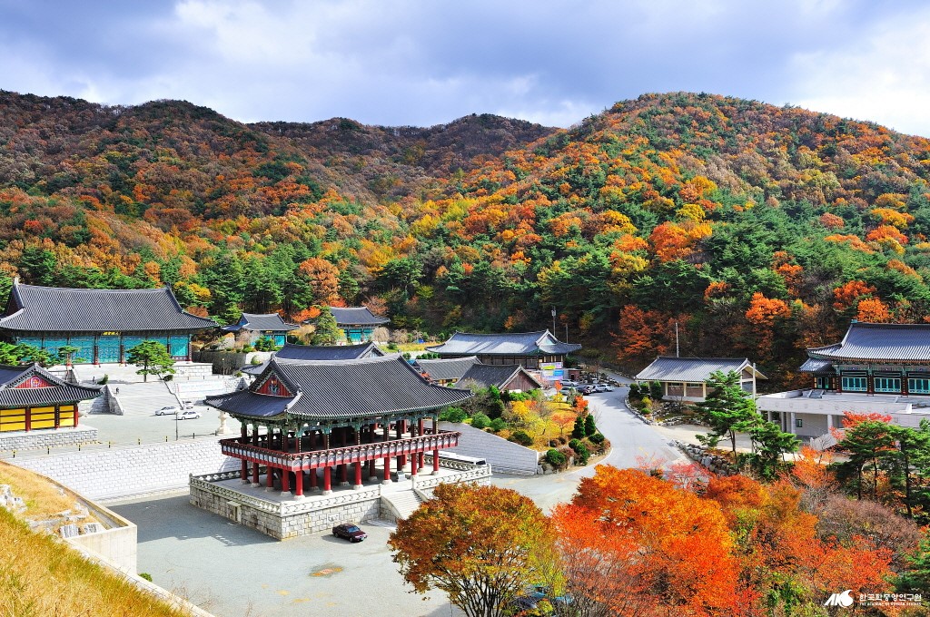충청남도 천안시 동남구 여행 : 여행콘텐츠