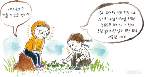 종자 은행 본문 이미지 3