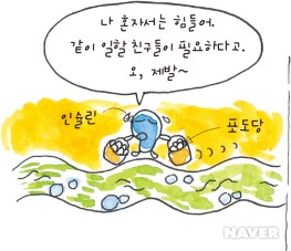 당뇨병 환자의 인슐린