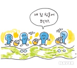 정상인의 인슐린
