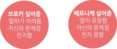 베르니케 이미지