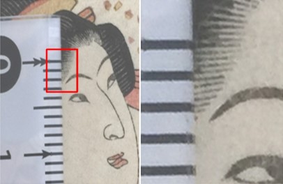 『니세무라사키 이나카겐지(偐紫田舍源氏)』의 표지를 확대한 모습