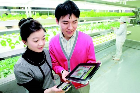 스마트 팜 본문 이미지 1